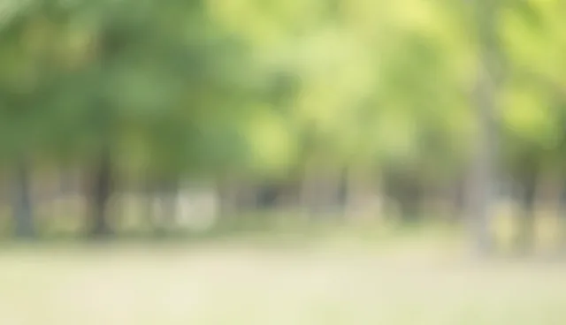 网站维护中常见的检查要点有哪些?